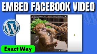 How to embed facebook video in wordpress (2025)