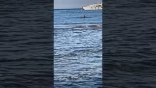 He can’t swim #youtubeshorts #shortvideo #shortsfeed #viral #shorts