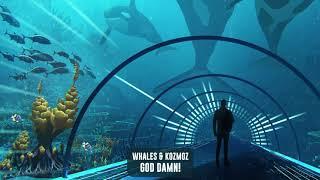 Whales & Kozmoz - GOD DAMN! | Subsidia