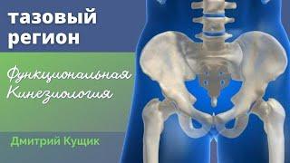 Дисфункции и нестабильность таза. Анатомия человека. Обучение прикладной кинезиологии. Дмитрий Кущик