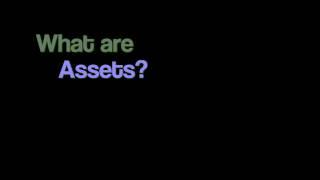 What are assets?