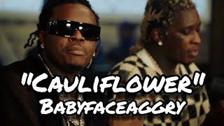 [FREE] YSL X GUNNA X YOUNG THUG TYPE BEAT 2025 ~ "CAULIFLOWER"│free guitar trap beat 2025