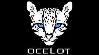 Ocelot Nedir ? Api Gateway Nedir ? Ocelot Identity Server ve .Net Uygulamalarında Ocelot kullanımı.