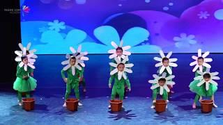 Flower dancing - Dolphin Class