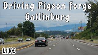 Driving Pigeon Forge Gatlinburg 2024 LIVE