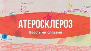 Атеросклероз: Патогенез // Коротко и Простыми словами