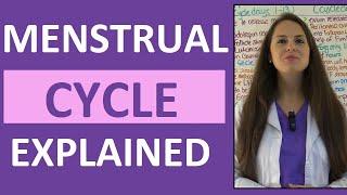 Menstrual Cycle Phases | Female Reproductive System | Follicular Luteal Proliferative Secretory