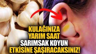 Kulağınıza Yarım Saat Sarımsak Koyun Etkisine şaşıracaksınız