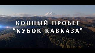 PRO_Событие. Конный пробег "Кубок Кавказа". 19 ноября 2023 года. 13:50