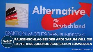 AFD: This is why the party wants to separate from the youth organization “Junge Alternative”