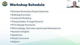 Staff Workshop on Demand Scenarios Project