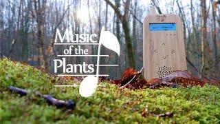 Music of the Plants - Instant calm, Beautiful Relaxing Dreamy music (Nature Energy Healing) 