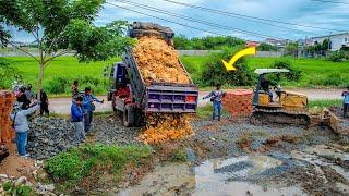 Starting a New Project! Fill Land​ to Build House by Bulldozer D20P & Truck Pushing Soil Into Water