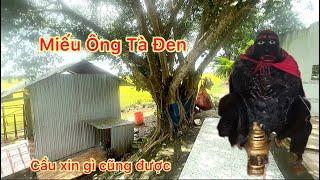 Bất ngờ,câu chuyện người đàn ông phá miếu Ông Tà Đen và cái kết.