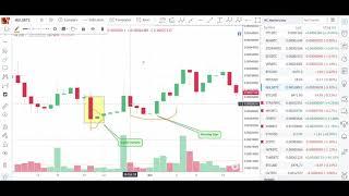 Rekt Capital Trading Course Preview