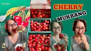 Cherry Mukbang #mukbang #cherries #sakuranbo #fruits #eating #eatingsounds