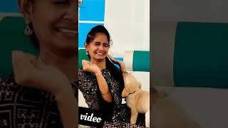 surprise puppy ||Suji shocked||Srini Suji||dream couple's official||#srinisuji #dreamcouple