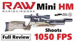 RAW HM1000x Mini LRT (Review) 22LR Power in an SBR PCP Rifle by Rapid Air Worx