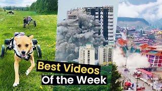 15 Video Viral Teratas Minggu Ini