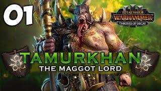 RISE OF THE MAGGOT LORD OF NURGLE! Total War: Warhammer 3 - Tamurkhan [IE] Campaign #1