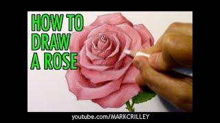 How to Draw a Rose (and Add Color)