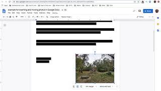 Tutorial on how to insert and move pictures in Google Docs