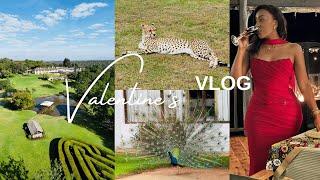 MY VALENTINE’S WEEKEND VLOG | A ROMANTIC NIGHT AT  FAIRMONT, NANYUKI | WHY I’M FOND OF ALBA MERU.