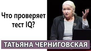 Что проверяет тест на IQ. Ответ Татьяны Черниговской