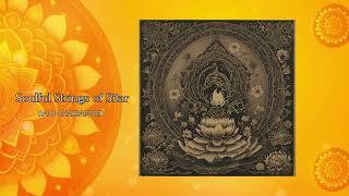 Soulful Strings of Sitar - Sri Raju Chakraborty (Full Album 2024)