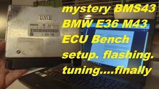 BMW S.I.P - mystery ECU BMS43 diy flashing and tuning for the M43 engine. finally.....