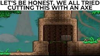 Terraria Memes 9