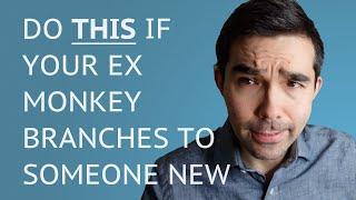 What To Do If Your Ex Monkey Branched To A New Relationship