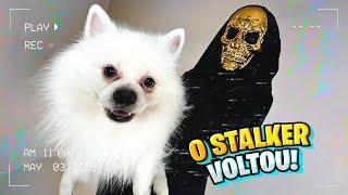 O STALKER SECRETO ESTÁ com o NOSSO CACHORRO SNOWY!