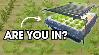 Indoor Farming: Year-Round Leafy Greens Made Simple with This Scalable Hydroponics Kit