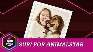 Suri for Animalstar | Die PRISM Is A Dancer Show mit Jan Böhmermann