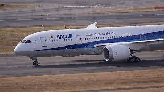 ANA Boeing 787-8 JA825A Landing at HND 34L