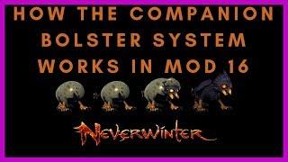 How The Legendary Companion Bolster Bonus System Works In Mod 16 Neverwinter