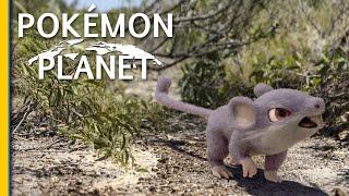 If Pokemon was a Nature Documentary