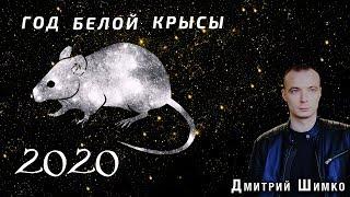 Восточный Гороскоп - 2020. Общие положения года. Астротиполог, Нумеролог - Дмитрий Шимко