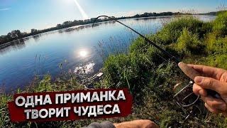 Одно из ЛУЧШИХ для рыбаки летом / Голавль и Жерех на ОКЕ / Спас ДИКОГО ЗВЕРЯ!