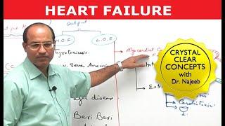 Heart Failure | Cardiac Pathology