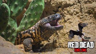 RDR 2 Online Banded Gila Monsters Location (Banded Gila Monsters skinned)