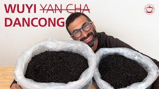 Wuyi-Roasting Dancong