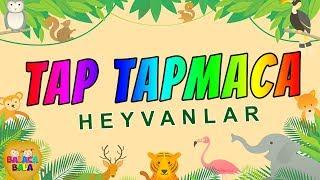 Tap Tapmaca (Heyvanlara aid tapmacalar)