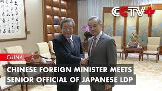 Chinese Foreign Minister Meets Senior Official of Japanese LDP