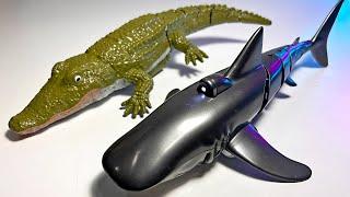 Remote Control Sea Animals - Shark and Crocodile