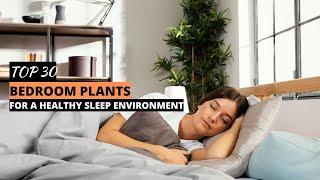 top 30 Bedroom plants for a healthier home