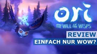 Ori and the Will of the Wisps Review | Nintendo Switch