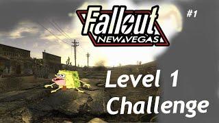 It's The New Vegas Level 1 Challenge