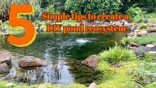 5 Tips to create a complete pond ecosystem